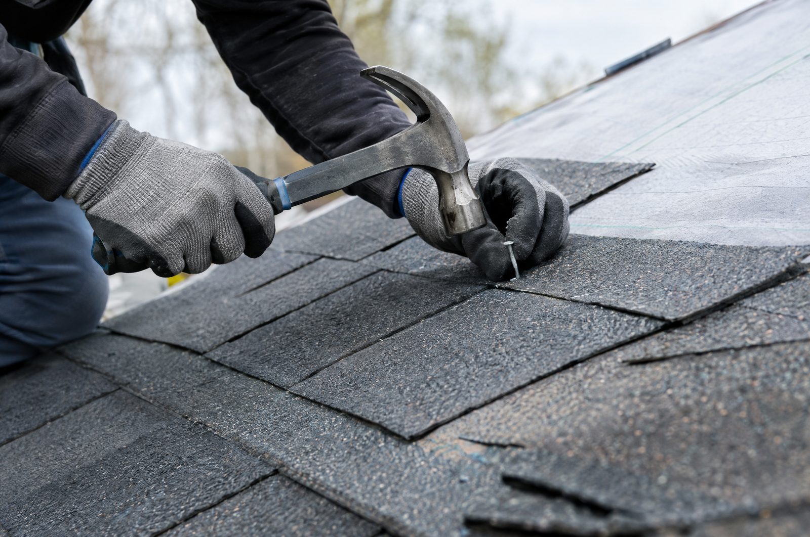Roofer fastening architectural asphalt shingles over synthetic underlayment